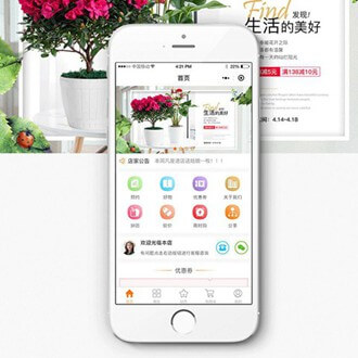 津南门店微商城小程序开发