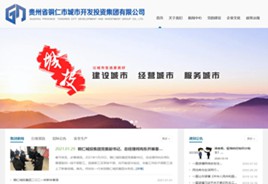 津南城市开发投资集团有限公司