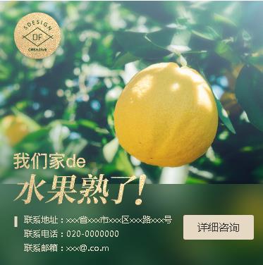 津南果园果林小程序开发